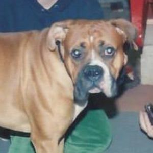 Meet your Posher, Kylee